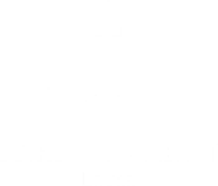 Betreuungsdienst Emma Logo weiß - In Herne, Bochum & Gelsenkirchen für Sie da